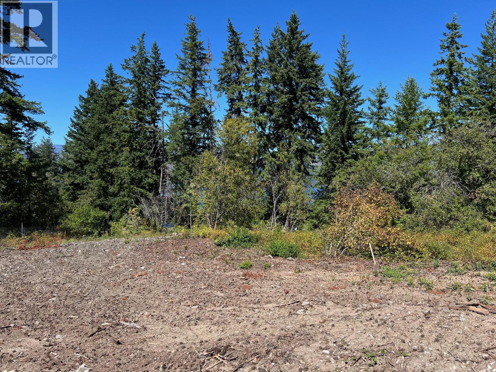 2221 Lakeview Drive, Blind Bay, British Columbia V0E 2W2 - Photo 8 - 10361765