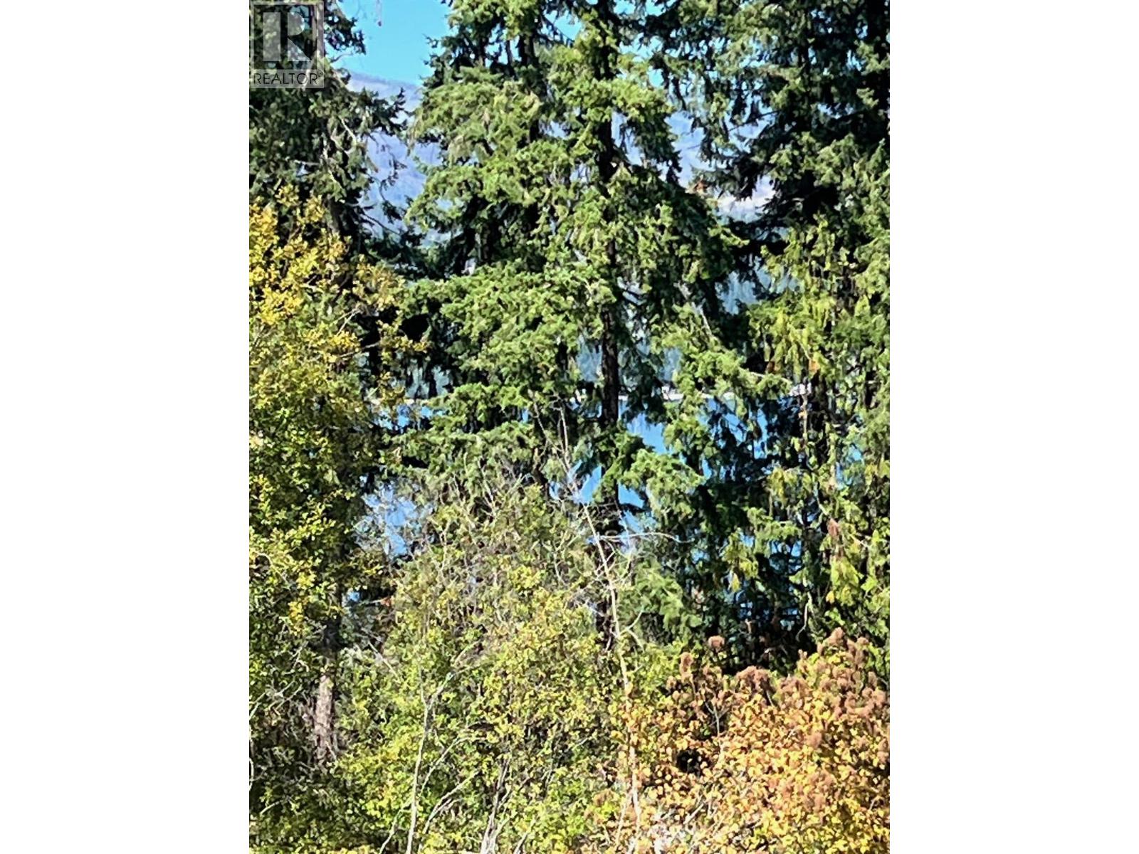 2221 Lakeview Drive, Blind Bay, British Columbia V0E 2W2 - Photo 9 - 10361765