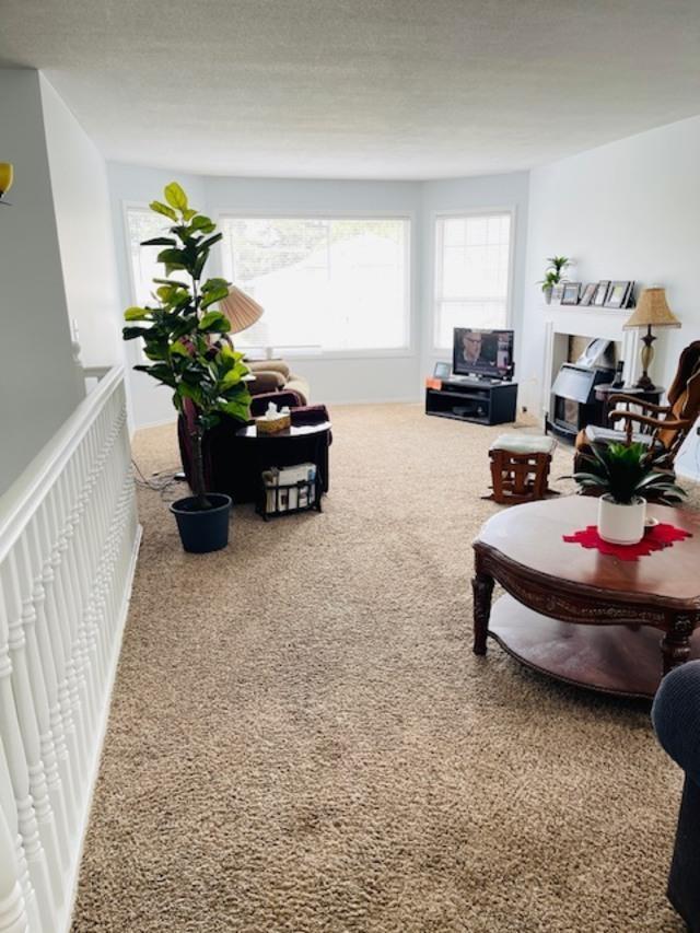 45470 Spruce Drive, Sardis West Vedder, Chilliwack, British Columbia  V2R 3V3 - Photo 3 - R3115191